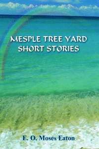 bokomslag Mesple Tree Yard Short Stories