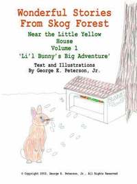 bokomslag Wonderful Stories From Skog Forest Near the Little Yellow House Volume 1