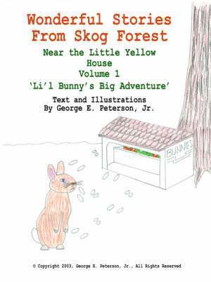 Wonderful Stories From Skog Forest Near the Little Yellow House Volume 1 1