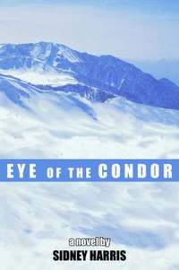 bokomslag Eye of the Condor