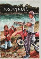 bokomslag Provivial