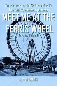 bokomslag Meet ME at the Ferris Wheel