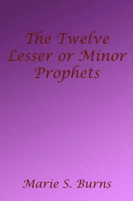 bokomslag The Twelve Lesser or Minor Prophets