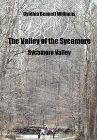 bokomslag The Valley of the Sycamore