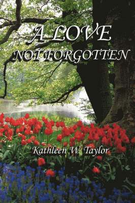 A Love Not Forgotten 1