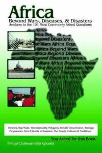 bokomslag Africa Beyond Wars, Diseases & Disasters. Answers to the 101 Most Commonly Asked Questions