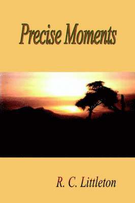 Precise Moments 1