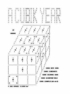 bokomslag A CUBIK Year