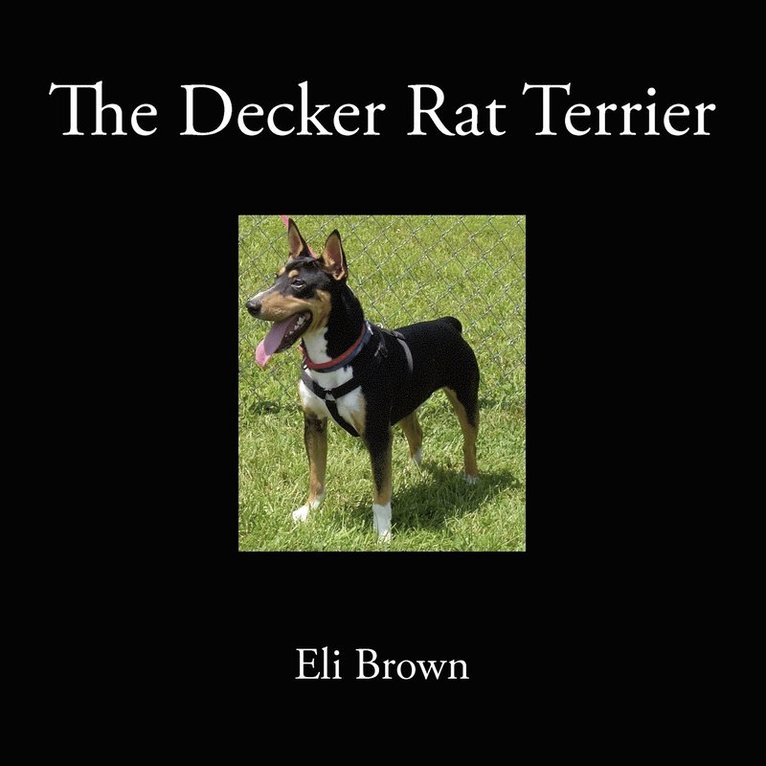 Eli Brown - Decker Rat Terrier, Häftad