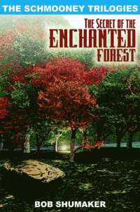bokomslag The Secret of the Enchanted Forest