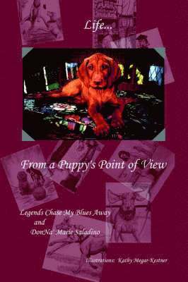 DonNa Marie Saladino, Donna Marie Saladino - Life from a Puppy's Point of View, Häftad