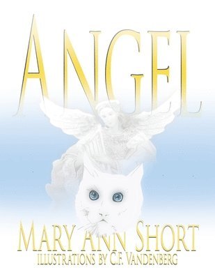 bokomslag Angel