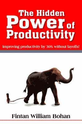 Fintan William Bohan - Hidden Power of Productivity, Häftad