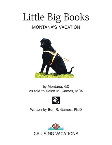 bokomslag Little Big Books