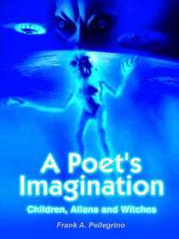 bokomslag A Poet's Imagination