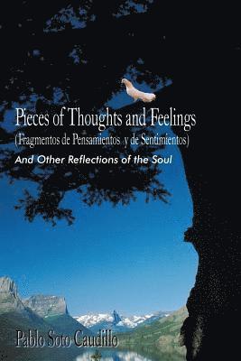 bokomslag Pieces of Thoughts and Feelings (Fragmentos De Pensamientos Y De Sentimientos)