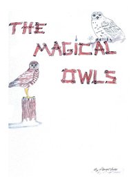 bokomslag Magical Owls