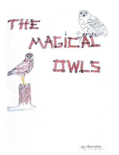 bokomslag Magical Owls