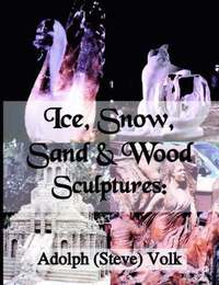 bokomslag Ice, Snow, Sand & Wood Sculptures