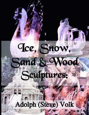 Ice, Snow, Sand & Wood Sculptures 1