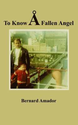 Bernard Amador - To Know A Fallen Angel, Häftad