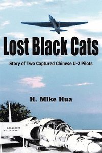 bokomslag Lost Black Cats