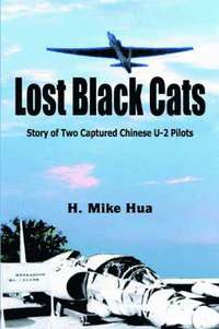 bokomslag Lost Black Cats