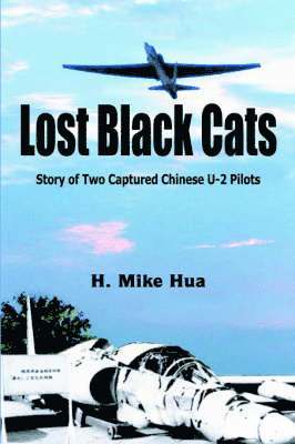 Lost Black Cats 1