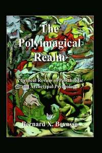 bokomslag The Polyimagical Realm