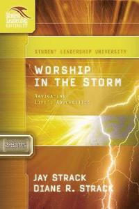 bokomslag Worship in the Storm