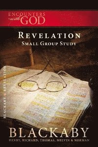 bokomslag Revelation