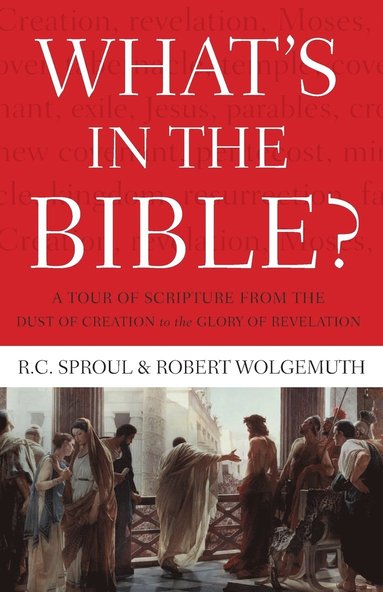 bokomslag What's In the Bible