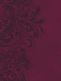 bokomslag Study Bible-NKJV-Signature