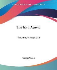 bokomslag Irish Aeneid