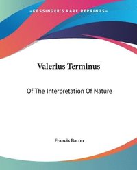 bokomslag Valerius Terminus
