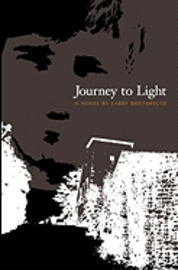 bokomslag Journey To Light