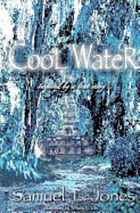 bokomslag Cool Water