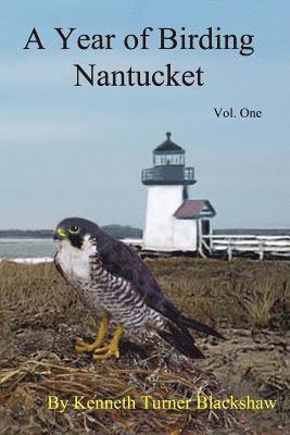 A Year of Birding Nantucket 1