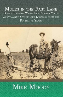 bokomslag Mules in the Fast Lane: Going Straight When Life Throws You a Curve...And Other Life Lessons from the Formative Years