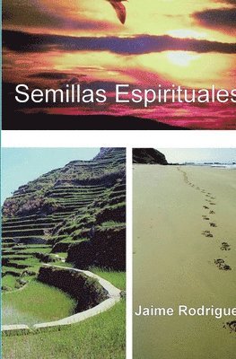 bokomslag Semillas Espirituales