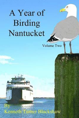 bokomslag A Year of Birding Nantucket: Volume Two