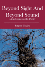 bokomslag Beyond Sight and Beyond Sound: ideas expressed in poetry