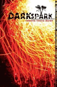 bokomslag Dark Spark