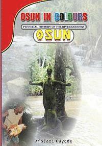 bokomslag Osun in Colours: Pictorial History of the River Goddess, Osun