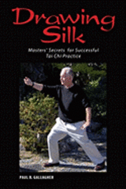 bokomslag Drawing Silk: Masters' Secrets for Successful Tai Chi Practice