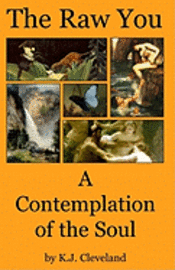 bokomslag The Raw You: A Contemplation of the Soul