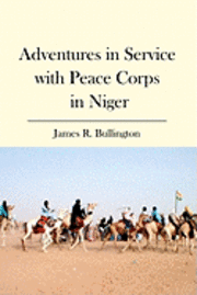 bokomslag Adventures in Service with Peace Corps in Niger