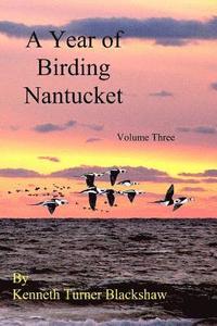 bokomslag A Year of Birding Nantucket: Volume Three