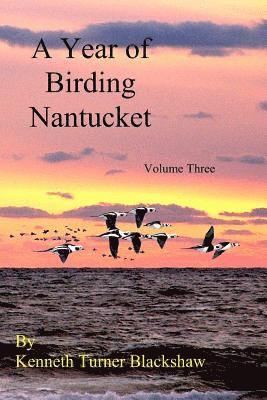 A Year of Birding Nantucket: Volume Three 1