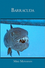 Barracuda